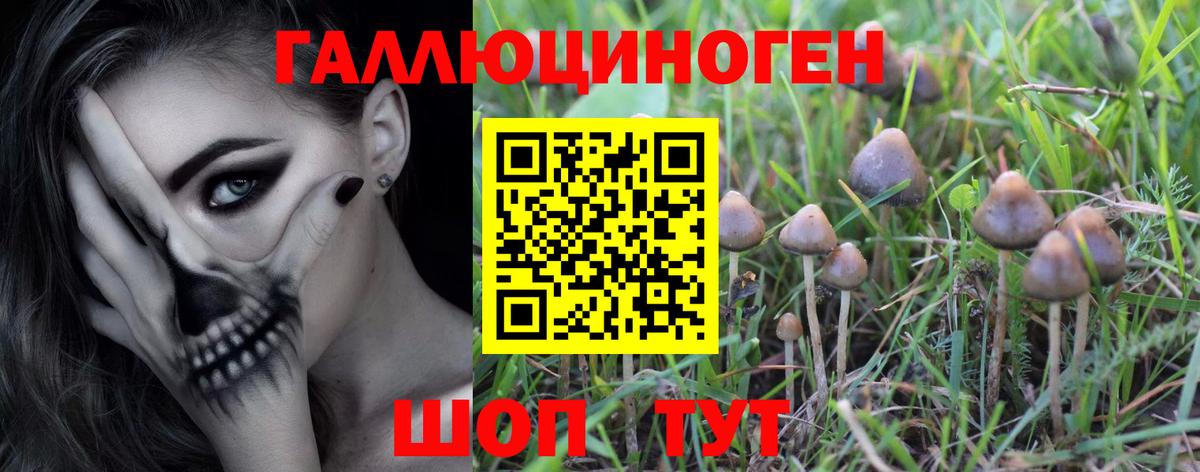 Галлюциногенные грибы ЛСД Каменка